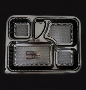 Bento Box 5 Compartment CTN