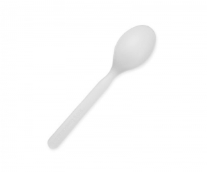 CPLA 6IN Spoon Ux20